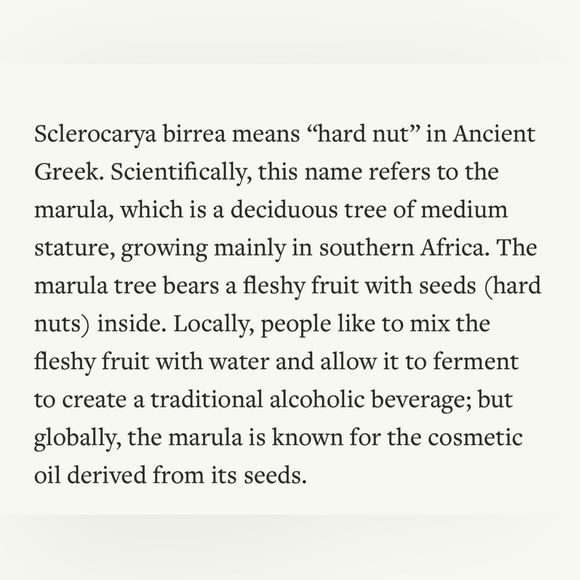 $10❤️‍🔥 LAST 1! Trader Joe’s Virgin Marula Facial Oil 💧 NEW IN BOX - Picture 4 of 5